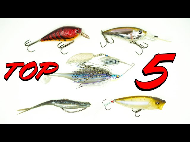 Best Hooks For Bass Fishing: Senko, Worms, Crankbaits, Topwater