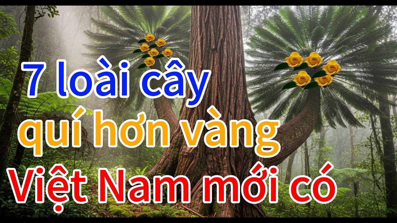 top 7 loài cây quý hơn vàng chỉ Việt Nam mới có