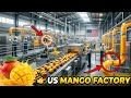 How Mango Juice is Made in Factory? 🥭🏭|| Mango Juice Production Line in USA 🇺🇸 ||
