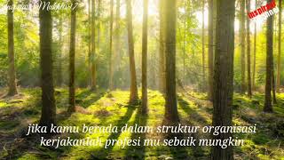 Motivasi - Organisasi itu bagaikan Pohon