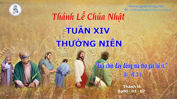 🔴Thánh Lễ CHÚA NHẬT - TUẦN XIV - THƯỜNG NIÊN - 8g00  - 03/07/2022