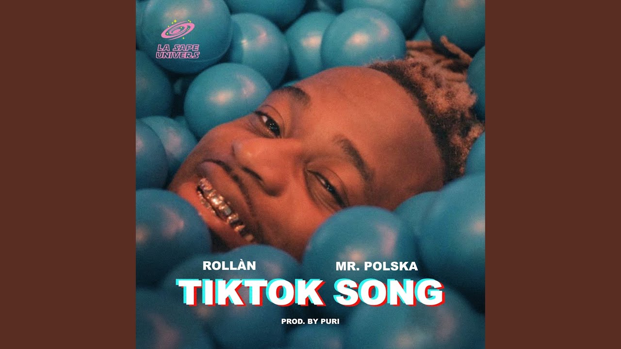 TikTok Song (feat. Mr. Polska & Puri) 