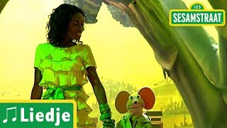 Blauw Met Geel - Giovanca & Ieniemienie - Sesamstraat