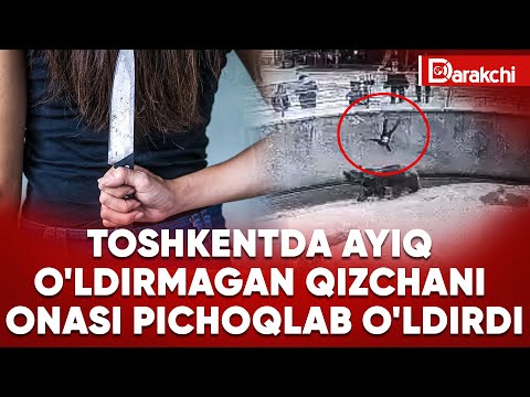 Onlayn avtobusda porno tomosha qiling