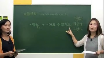 Học tiếng hàn tổng hợp sơ cấp 2 bài 10 외모 NGOẠI HÌNH