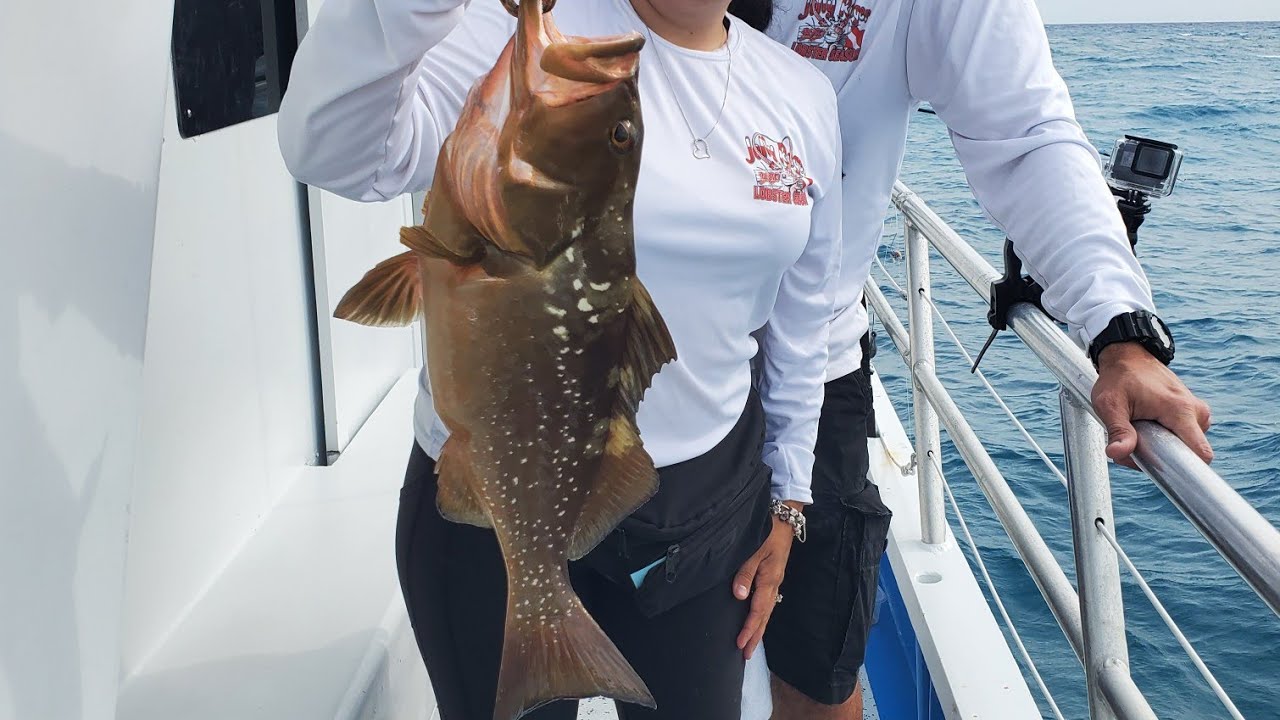 Sailor's Choice Fishing Party Boat Key Largo FL YouTube
