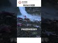 海の中で凍っていく生き物たち