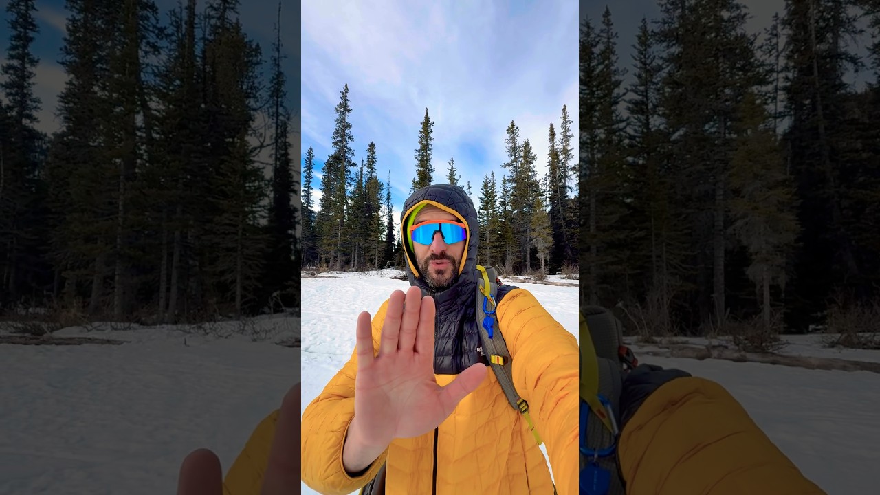 Hey hey stop! I’m gonna show you the best view!