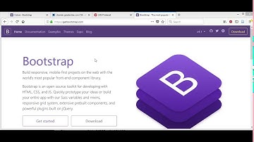 Bootstrap 4. Barras de progreso. Progress Bars.