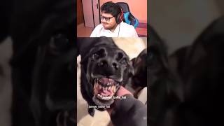 Try Not to Laugh Challenge 17 🤣 #AyushMore #funny #viral #shorts