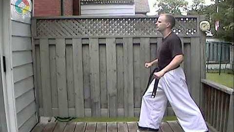 Taekwondo: Hapkido: Foundations: side kick, side view