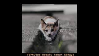 Story Wa Indie Feast- Berita kehilangan