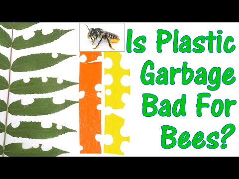 Is plastic garbage bad for bees?