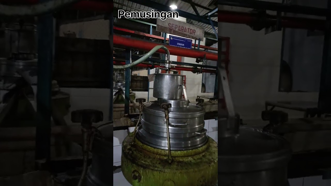 Proses Pengolahan Lateks Pekat di Pabrik Pengolahan Karet Kebun Mambang Muda, PTPN IV Regional I