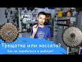 Чем отличается трещотка от кассеты? | Veloparts.com.ua