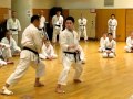 Keri waza with blocks and counters done by Nakagi-sensei and Yamaguchi-sensei