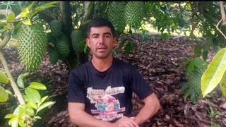 Seminario en producción de guanabana 28/11/2025 10 AM 
