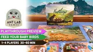 Nestlings Board Game | Playthrough | Preview