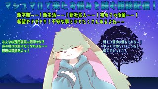 【お悩み雑談枠】マシュマロ配信だよっ！いっぱいお話しちゃうぞぉ！