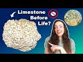 Formation of Limestone and Carbonate Deposits