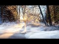 Serene Dreamer- Music for deep sleep, relaxation, meditation, yoga, calm mind, anxiety