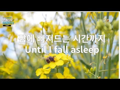잠에 빠져드는 시간까지Until I fall asleep wkawkfdhsmsdmadkr,<strong>잠잘오는음악</strong>,힐링음악 (노래강사 손영주TV,노래강사자격증반 모집 031-923-0381)