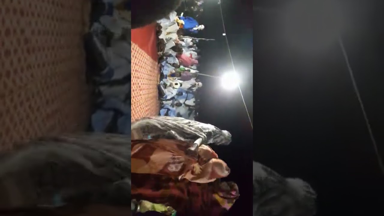 ٦ ديسمبر ٢٠٢٢