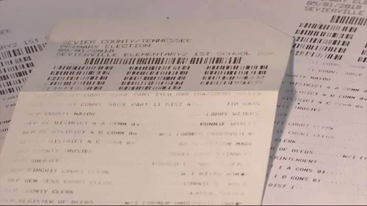 Cybersecurity experts critical of proposed electronic voting system