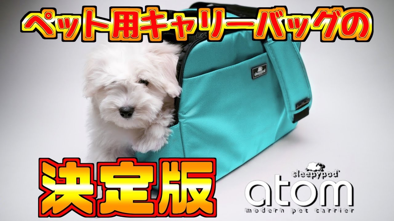 ☆虎太郎☆ 専用　sleepypod atom  ペット用キャリーバッグ