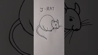 how to draw rat easy for beginner
