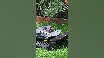 AMBROGIO ZETA R Robot Lawn Mower #shorts 🤖🌿
