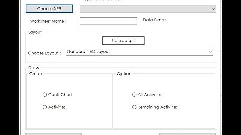 Open XER Files in Excel