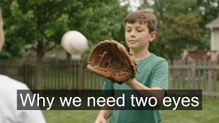 Why We Need Two Eyes
