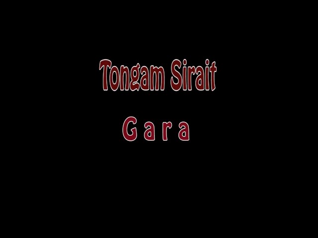 Tongam Sirait - GARA (Video Lirik Lagu ) class=