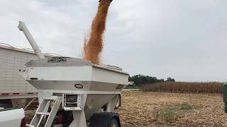 Lowndes County On Farm Corn Variety Trial