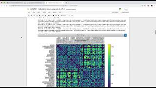 TVB-NEST co-simulation on local computer with voice over