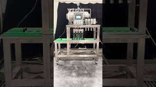 Isobaric Bottling &amp; Capping Monoblock Machine