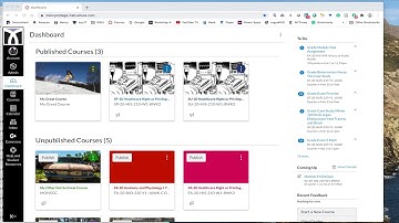 Check Attendance in Canvas