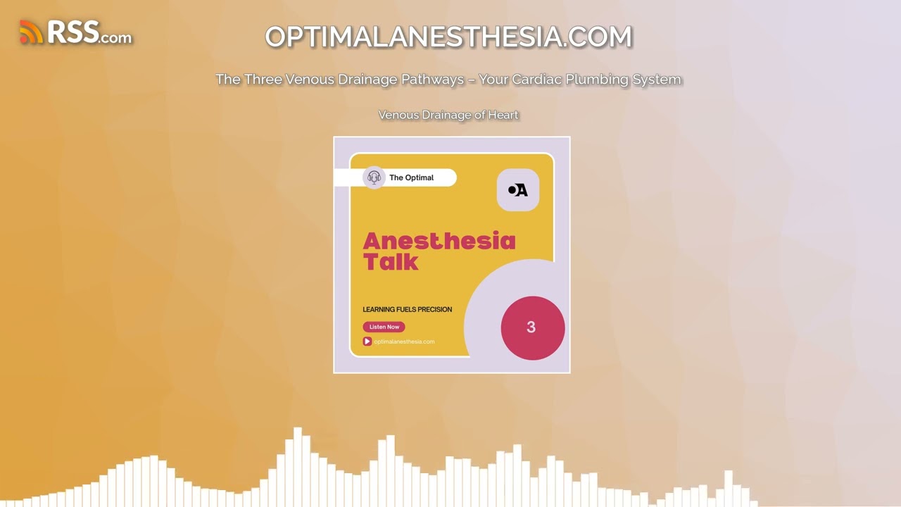 The Three Venous Drainage Pathways – Your Cardiac Plumbing System