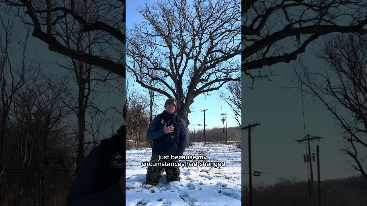 Watch: a 350-year-old oak, and why Matt plants