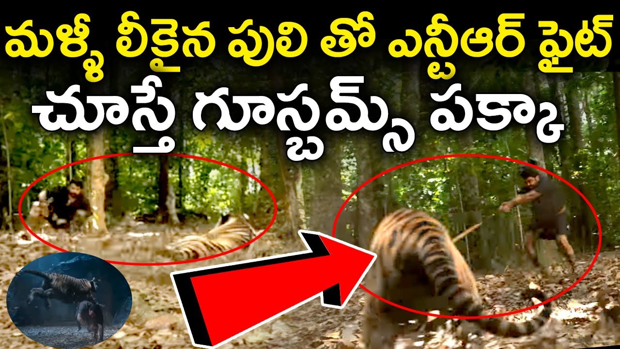 RRR Movie Ntr And Tiger Fight Leaked Video |#RRR|Ntr|Ntr Latest News