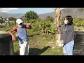 Video de Mártir de Cuilapan