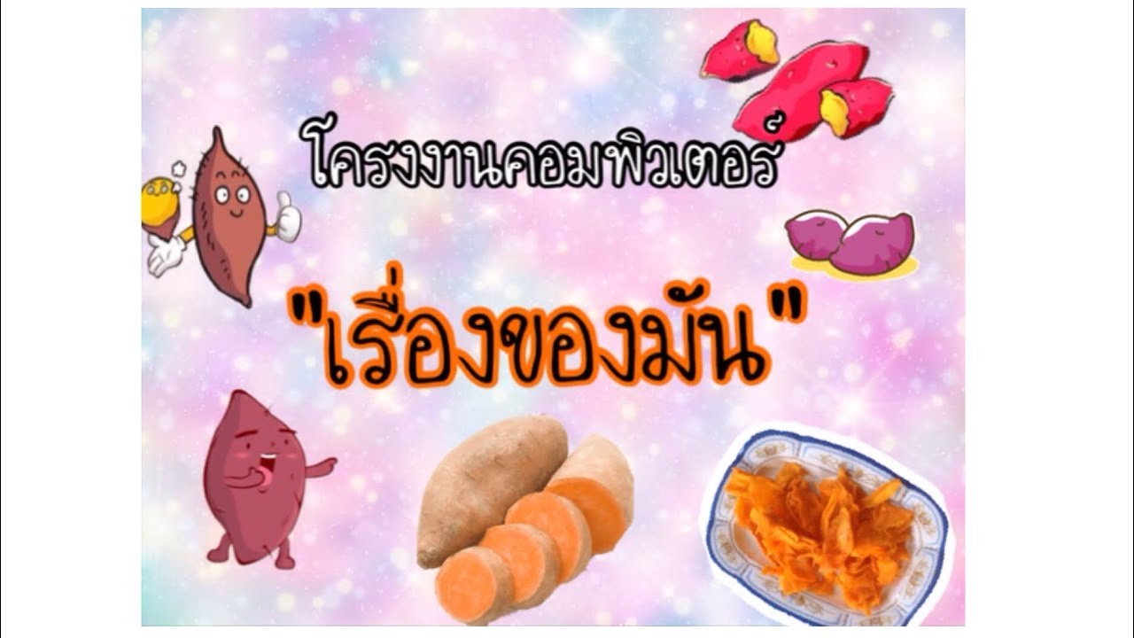 โครงงานคอมพิวเตอร์ 