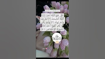 سورة الإخلاص🩷 #egzonibrahimi #دعاء #allahuakbar #اكسبلور #quran #تيك_توك #لايك #ترند