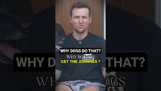 WHY DOGS GET THE ZOOMIES