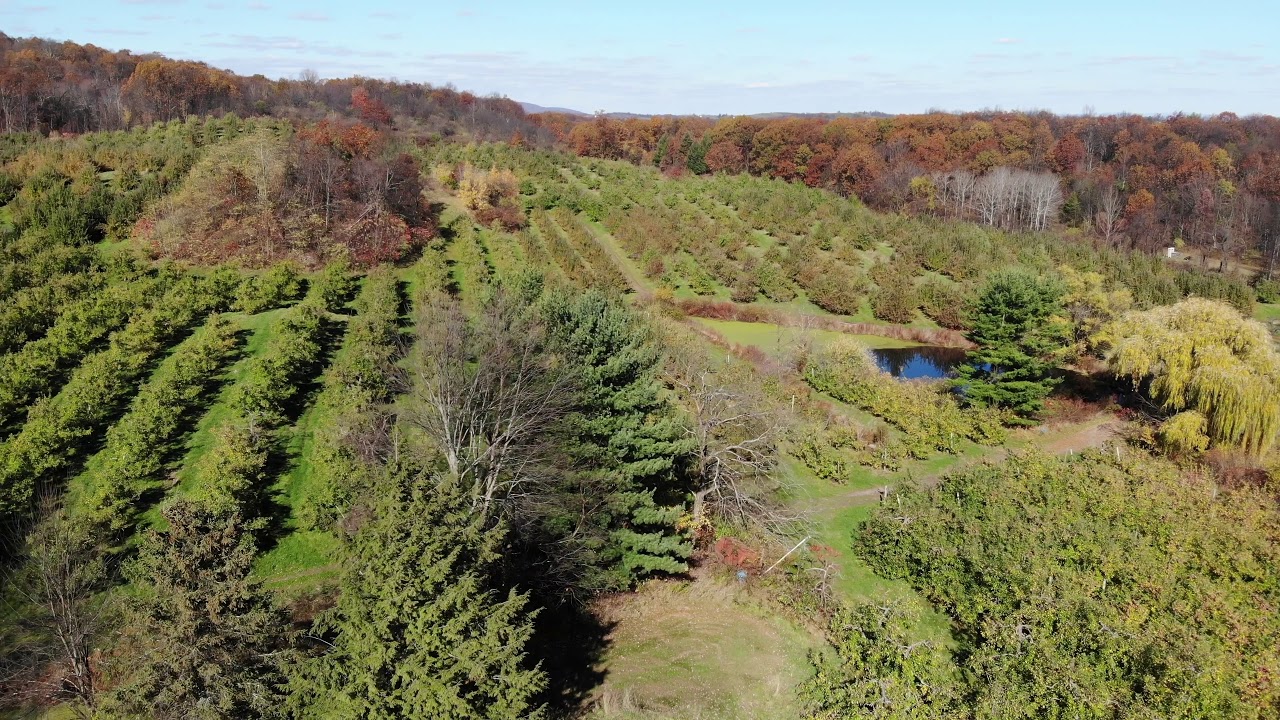 Marlboro, NY New York Orchard, Cider, Farm, Rental, Development