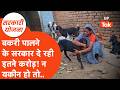 Sarkari Yojana Case Study : बकरी पालने से बदली इन लोगों की किस्मत! 1 करोड़ तक सरकार ही..