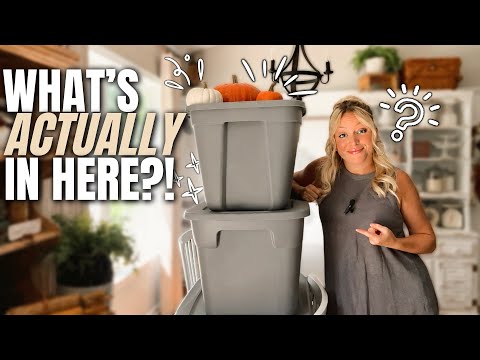 I Forgot What I Had!! What’s Still Left in My Fall Decor Bins? 📦