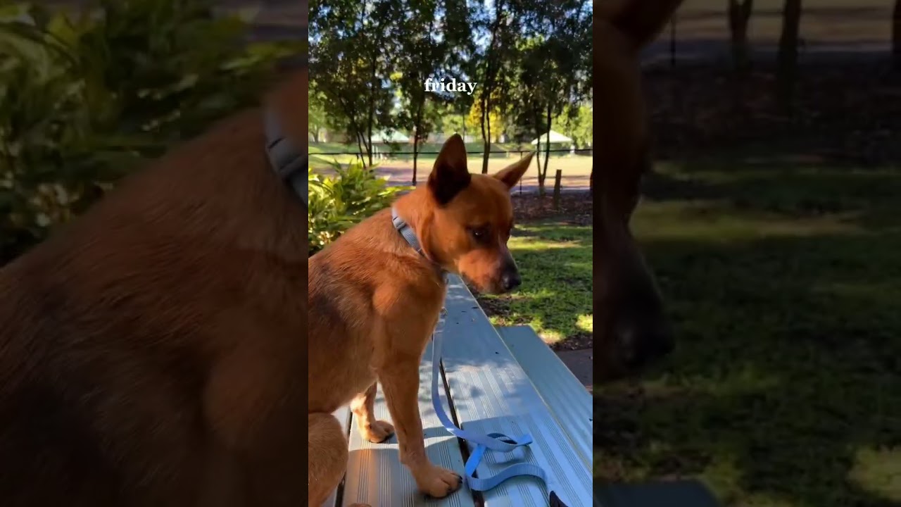 One day at a time 💪 