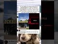 Blockbuster Laughed at Netflix's $50M Deal and Now Has One Store Left 📼 #funny #movies #pets #memes
